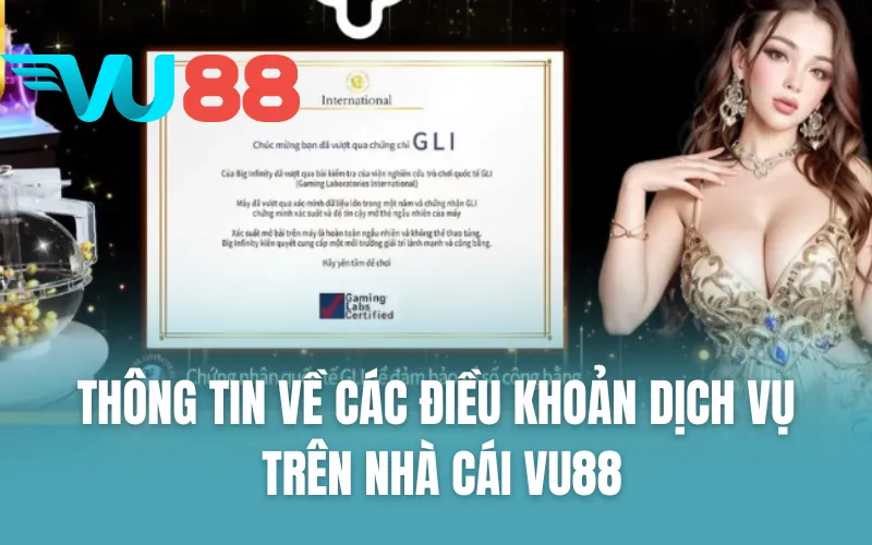Thông tin về các điều khoản dịch vụ trên nhà cái VU88